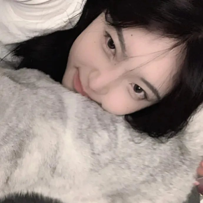 完美拍档2017